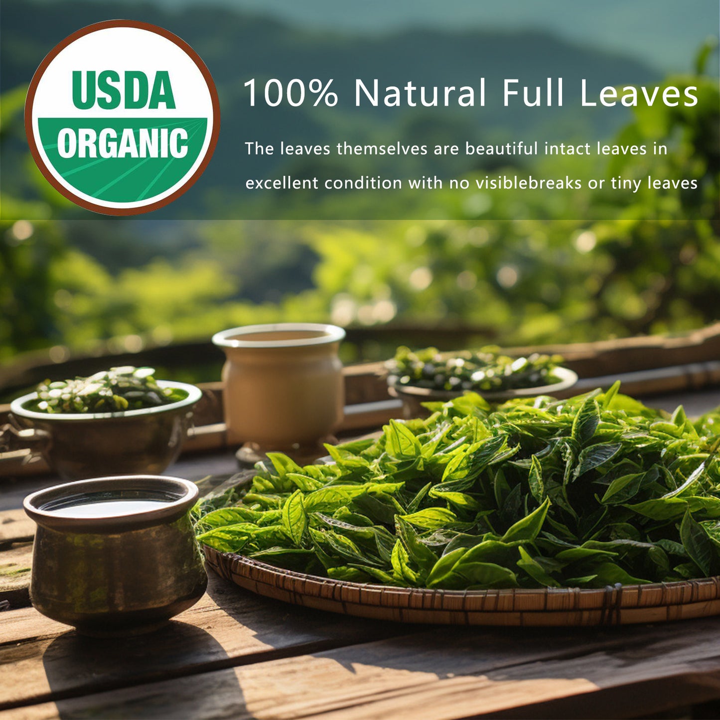 Detox Cleanse Tea - Organic Herbal Oolong Tea Bags