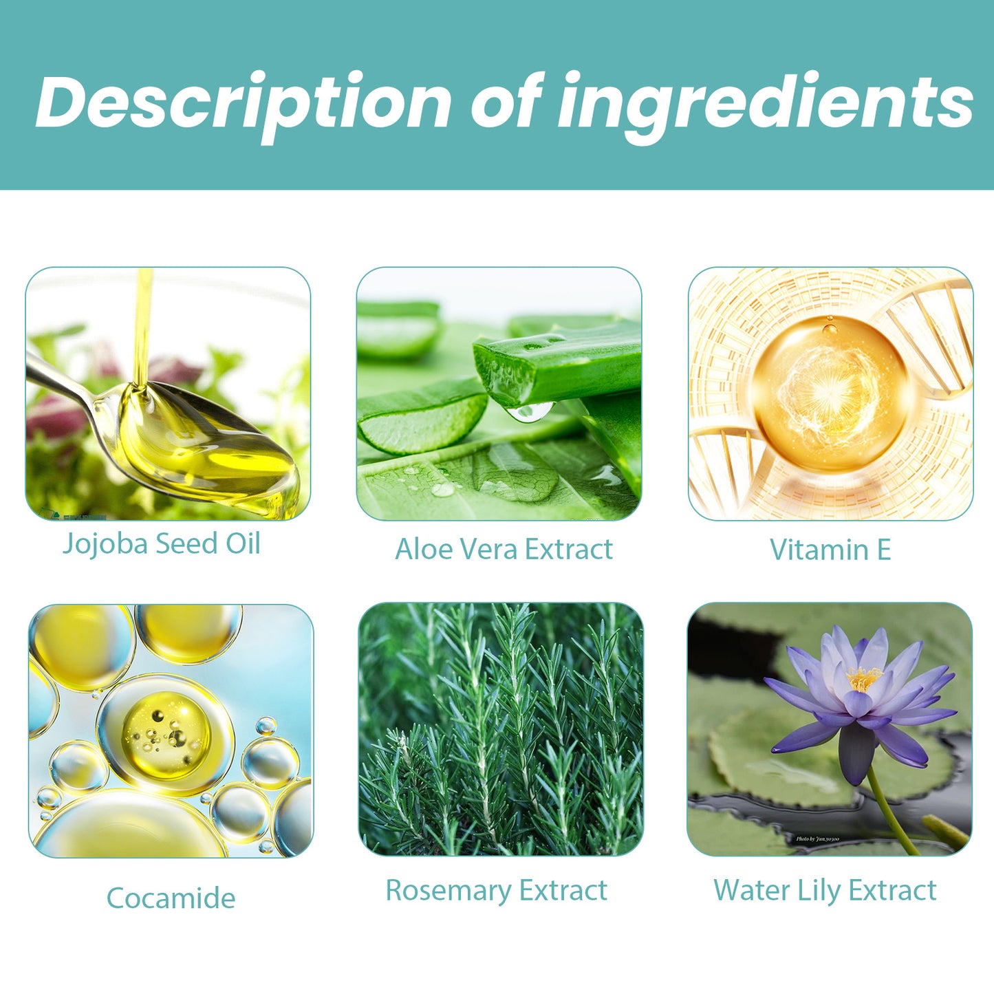 Shower Oil - Body Cleansing & Moisturizing Skin Care