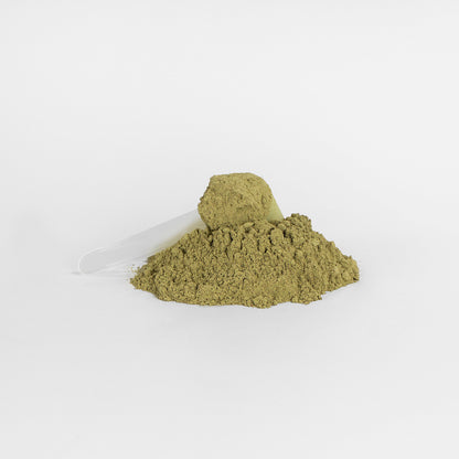 Green Superfood Powder - Nutrient-Rich Greens Blend