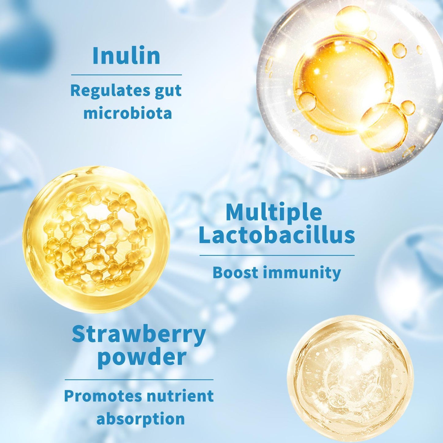 Probiotics for Digestion & Gut Health - Vegetarian Formula